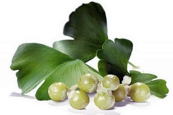 Ginkgo Biloba gizonezkoen potentzia handitzen du