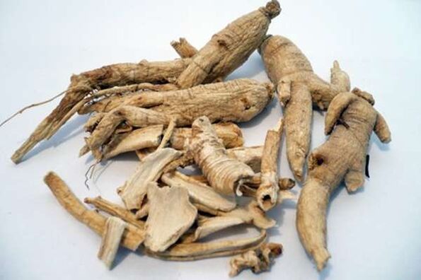 Ginseng erro potentzia handitzeko